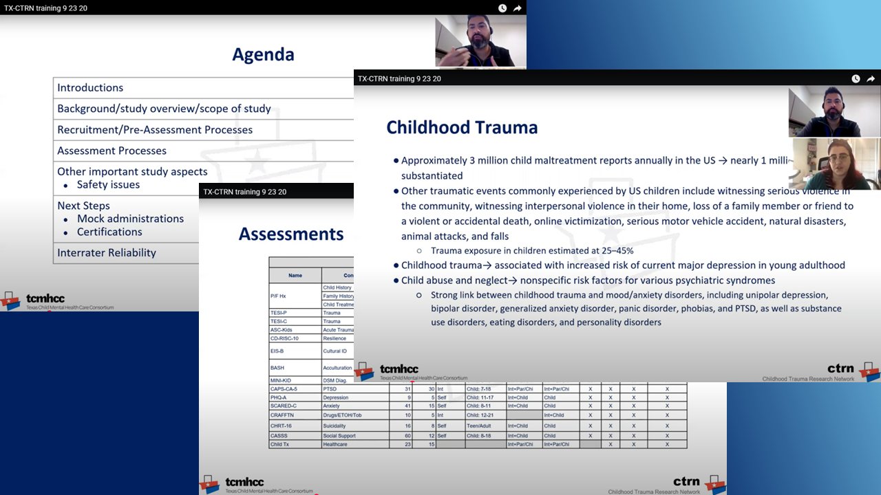Screenshot of online training content